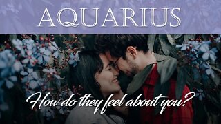 Aquarius - How do they feel about you? Nov 23-29