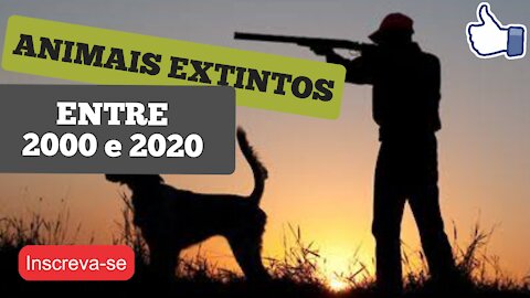 ANIMAIS EXTINTOS ENTRE 2000 e 2020