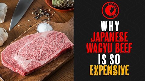 Japanese Wagyu Beef. Why is it so expensive?