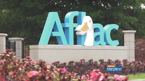 Aflac - Corporate Social Responsibility