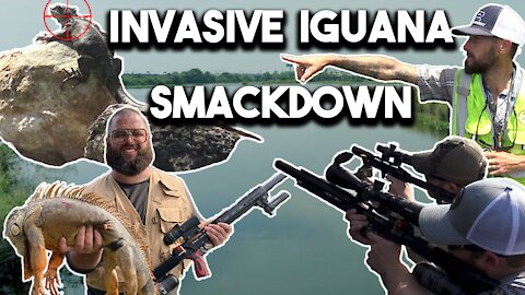 HUNTING GIANT IGUANAS WITH AIR GUNS IN SOUTH FLORIDA WITH PYTHON COWBOY