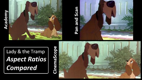 There were 3 different versions of Lady and the Tramp!