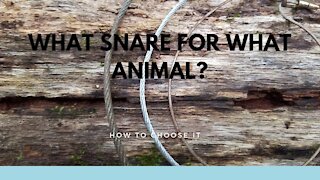 What Type of Snare for Each Animal