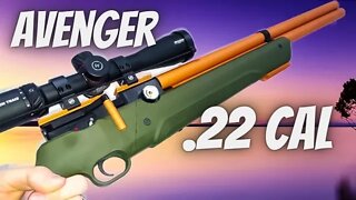 Avenger .22 Cal - First Shots and Sighting In