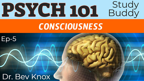 What is Consciousness? - Psych 101 “Study Buddy” Series