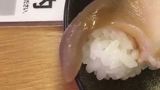 Restaurant In Japan Serves You Food That It Still Moving