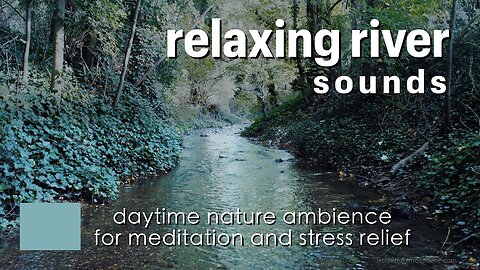 Relaxing River Sounds | Daytime Nature Ambience For Meditation And Stress Relief | For 3 Hours