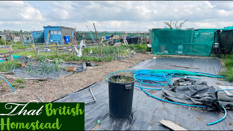 Planting Tomatoes, Squash, Peppers... Much More!