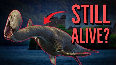 Are Dinosaurs Still Alive? The TRUTH About the Loch Ness Monster