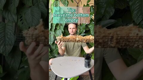 Moss Pole Tutorial - check out my Playlist for a full length video #mosspole #houseplants #shorts