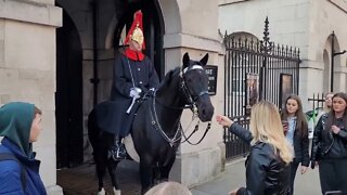 The Horse tries to bite her hand #horseguardsparade