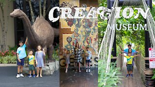 CREATION MUSEUM | Bible History | Dinosaurs | Botanical Garden | Travel Vlog