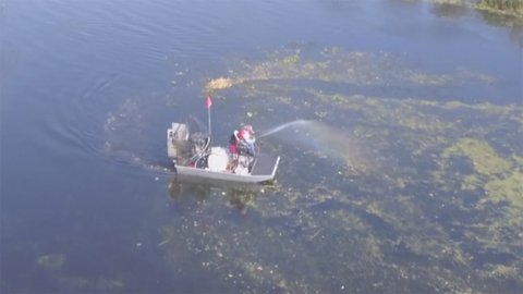 Anglers, environmentalists optimistic after FWC decides to stop spraying to kill plants