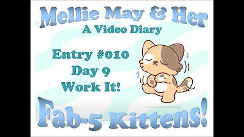 Video Diary Entry 010: Work it! Work it! Day 9