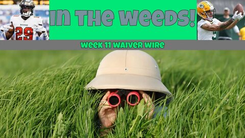 In The Weeds-Week 11 Waiver Wire-