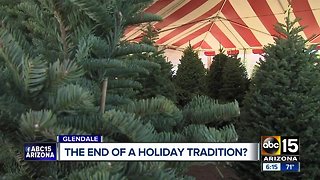 Could online Christmas tree sales impact local companies?