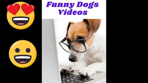 Cute PuppiesCute Dogs Doing Funny Things Compilation 2020Cutest Dogs Ever1