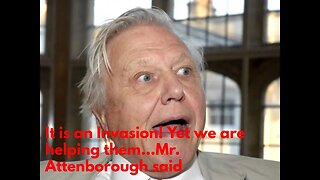 If David attenborough reviewed the Refugees in England