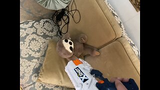 Killing my pet sloth. (It’s a plushie)