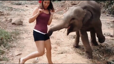 Baby elephant kick on cute girl 😁 funny video