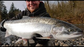 Early Winter Steelhead Broodstock Fishing | Addicted Life Ep. #21