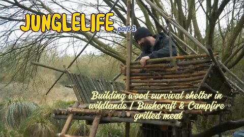 Building wood survival shelter in wildlands | Bushcraft & Campfire grilled meat 3