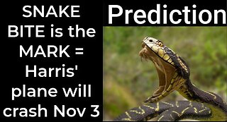 Prediction - SNAKE BITE prophecy = Harris’ plane will crash Nov 3