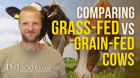 Comparing Grass-Fed vs Grain-Fed Cows