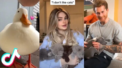 TikTok Pets that Will Brighten Up Your Day - Funniest animal videos 2022 😍❤️