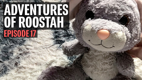 The Adventures of Roostah (episode 17) : The Show Needs Your Support!