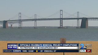 Officials celebrate removal project completions to protect Chesapeake Bay