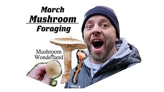 March Mushroom Foraging and Identification- 2022