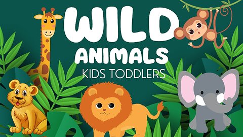 Wild Animals Learning for Kids Toddlers-Cute Dog,Cat | Educational Safari Adventure