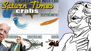 saturn times | 023 | crabs