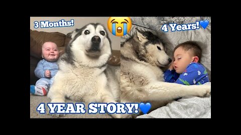 The Full 4 Year Story Of My Husky & Baby Becoming Best Friends!!