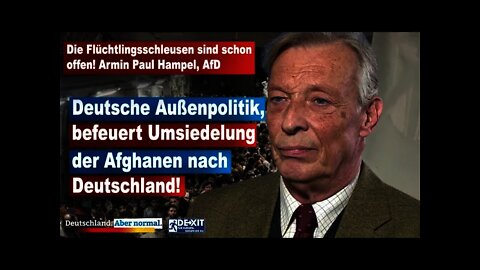 Die Flüchtlingsschleusen sind schon offen! Armin Paul Hampel, AfD