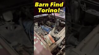 Barn Find 1971 Ford Torino! #shorts