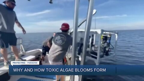 New technology deployed in effort to combat toxic blue-green algae on the Treasure Coast