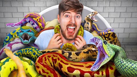 Would You Sit In Snakes For $10,000?