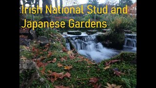 Irish National Stud and Japanese Gardens, Kildare, Ireland.