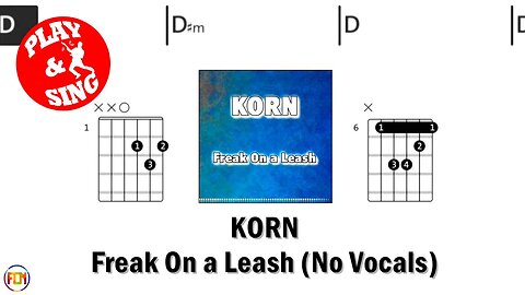 KORN Freak On a Leash FCN GUITAR CHORDS & LYRICS NO VOCALS