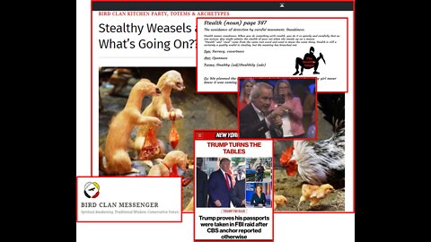 Stealthy Weasel, Secret Agendas, The Great Awakening Tulsa (2021), Q, DJT, Anons