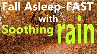 Fall Asleep Instantly With 10 Hours Of Rainy Day Relaxing Autumn Fall Meadow Heavy Rains