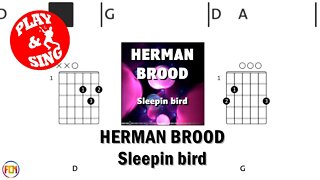 HERMAN BROOD Sleepin bird 1987 FCN GUITAR CHORDS & LYRICS