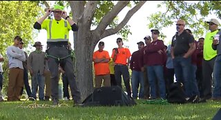 Workers, first responders participate in tree rescue training
