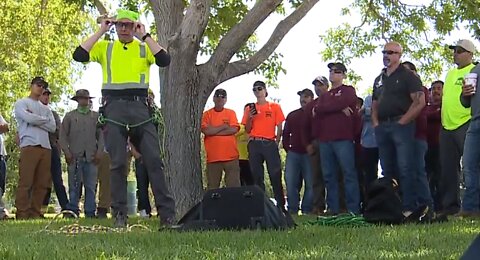 Workers, first responders participate in tree rescue training