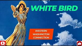 western Washington Connection: White Bird