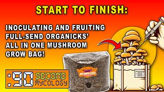 Start to Finish \\ Full-Send OrgaNicks’ All-in-One Grow Bag Inoculation & Fruiting!