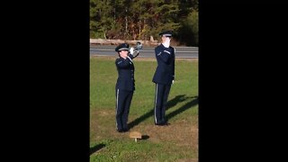 TAPS