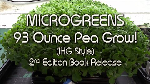 Huge Pea Microgreens Harvest & My Book Explains How